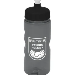Mini Mountain Bottle - 22 oz