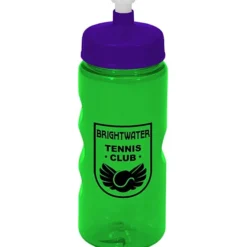 Mini Mountain Bottle - 22 oz