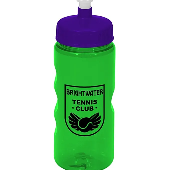Mini Mountain Bottle - 22 oz
