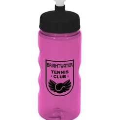Mini Mountain Bottle - 22 oz
