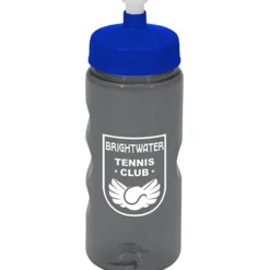 Mini Mountain Bottle - 22 oz