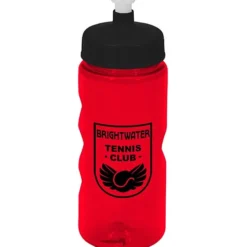 Mini Mountain Bottle - 22 oz