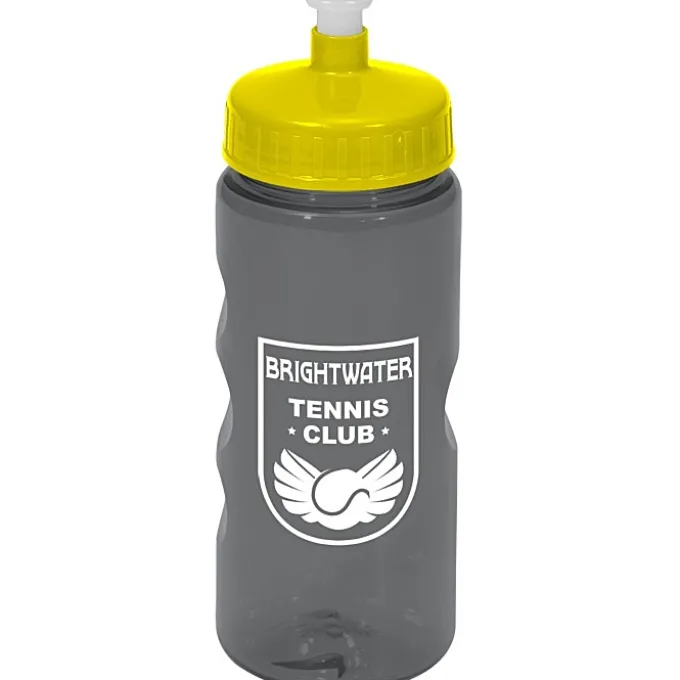 Mini Mountain Bottle - 22 oz