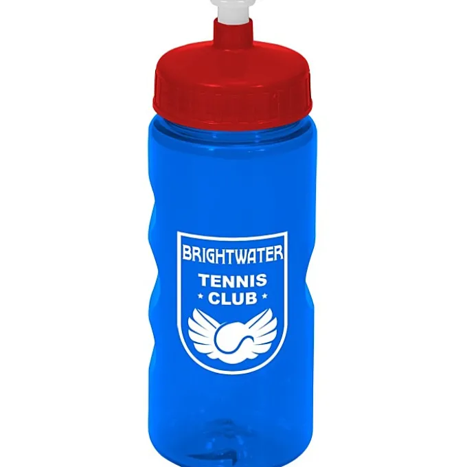 Mini Mountain Bottle - 22 oz