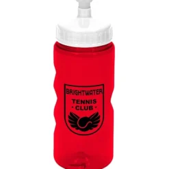 Mini Mountain Bottle - 22 oz