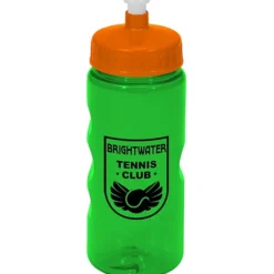 Mini Mountain Bottle - 22 oz