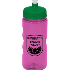 Mini Mountain Bottle - 22 oz