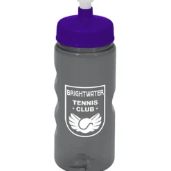 Mini Mountain Bottle - 22 oz