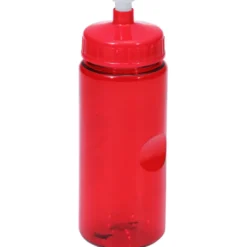 Mini Mountain Bottle - 22 oz