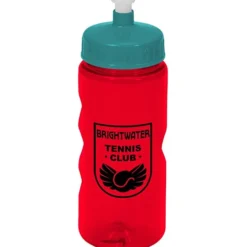 Mini Mountain Bottle - 22 oz