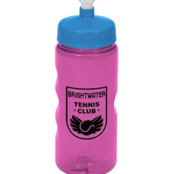 Mini Mountain Bottle - 22 oz