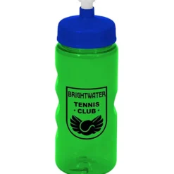 Mini Mountain Bottle - 22 oz