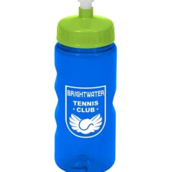 Mini Mountain Bottle - 22 oz