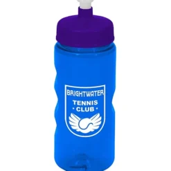 Mini Mountain Bottle - 22 oz