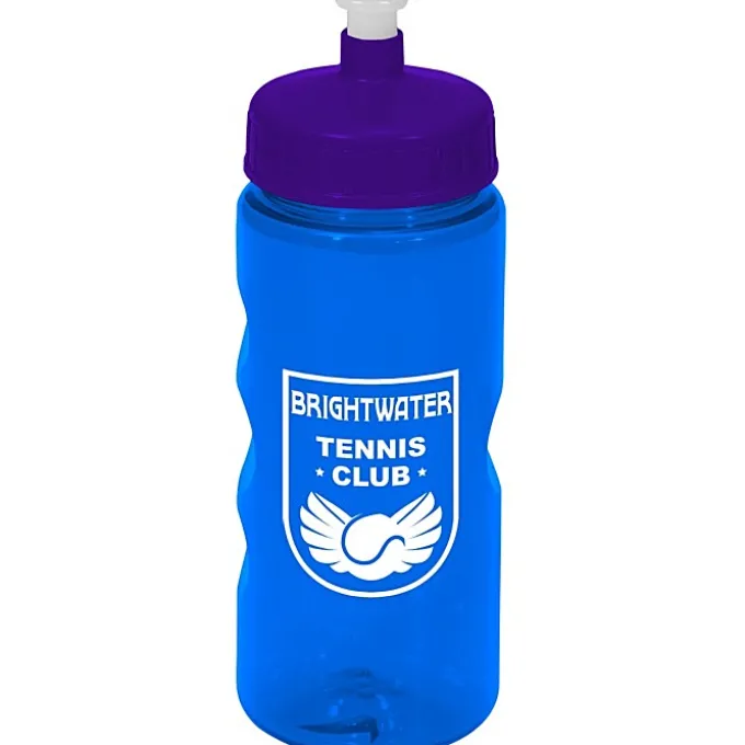 Mini Mountain Bottle - 22 oz