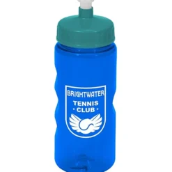Mini Mountain Bottle - 22 oz