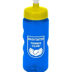 Mini Mountain Bottle - 22 oz