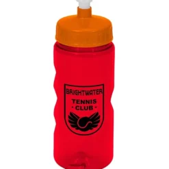 Mini Mountain Bottle - 22 oz