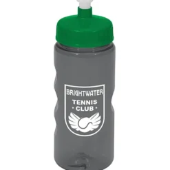 Mini Mountain Bottle - 22 oz