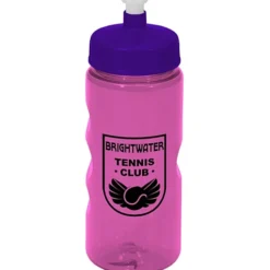 Mini Mountain Bottle - 22 oz
