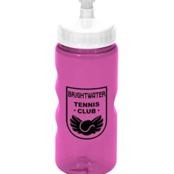 Mini Mountain Bottle - 22 oz
