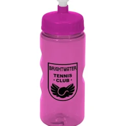 Mini Mountain Bottle - 22 oz