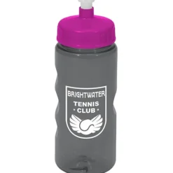 Mini Mountain Bottle - 22 oz