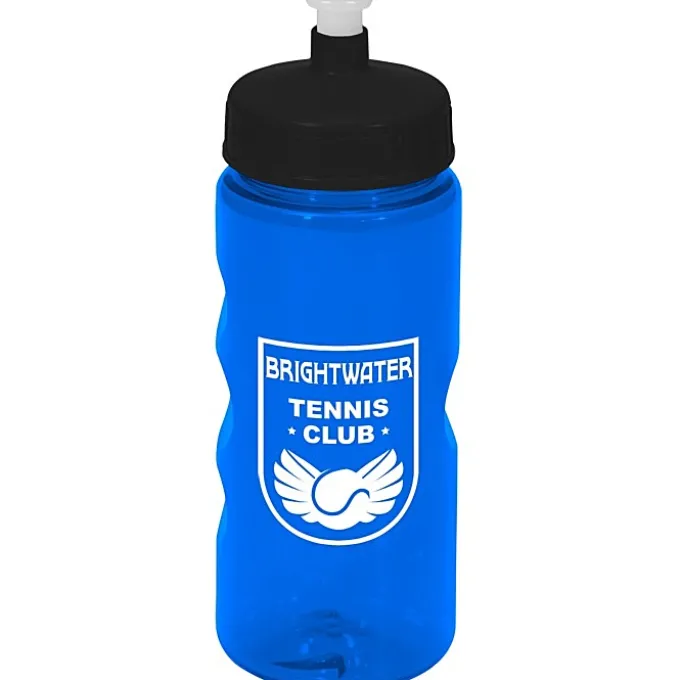 Mini Mountain Bottle - 22 oz