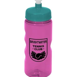 Mini Mountain Bottle - 22 oz
