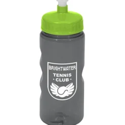 Mini Mountain Bottle - 22 oz