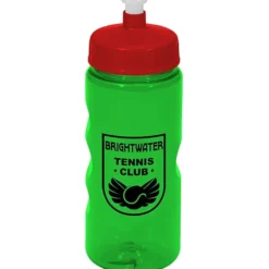 Mini Mountain Bottle - 22 oz