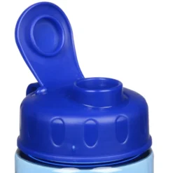 Mini Mountain Bottle with Flip Lid - 22 oz - Shaker
