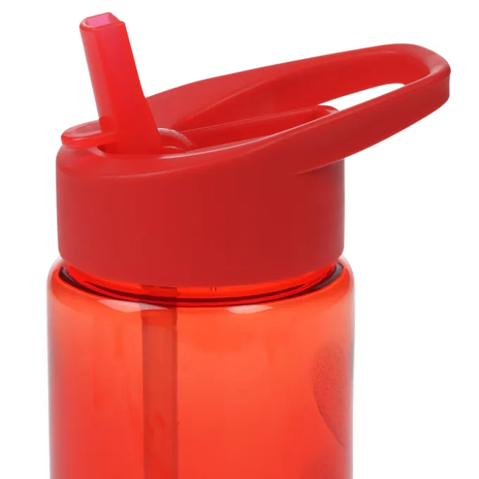 Mini Mountain Bottle with Flip Straw Lid - 22 oz