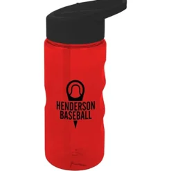 Mini Mountain Bottle with Flip Straw Lid - 22 oz