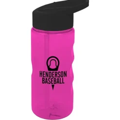 Mini Mountain Bottle with Flip Straw Lid - 22 oz