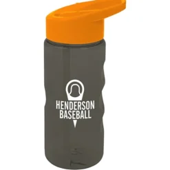 Mini Mountain Bottle with Flip Straw Lid - 22 oz