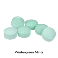Mint Keychain