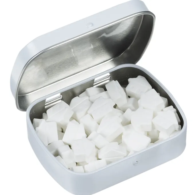 Mint Tin with Shaped Mints - House