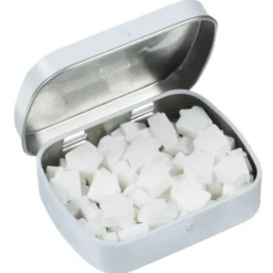 Mint Tin with Shaped Mints - House - 24 hr