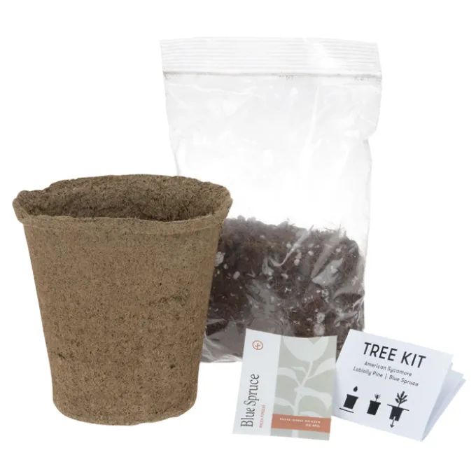 Modern Sprout One for One Tree Kit