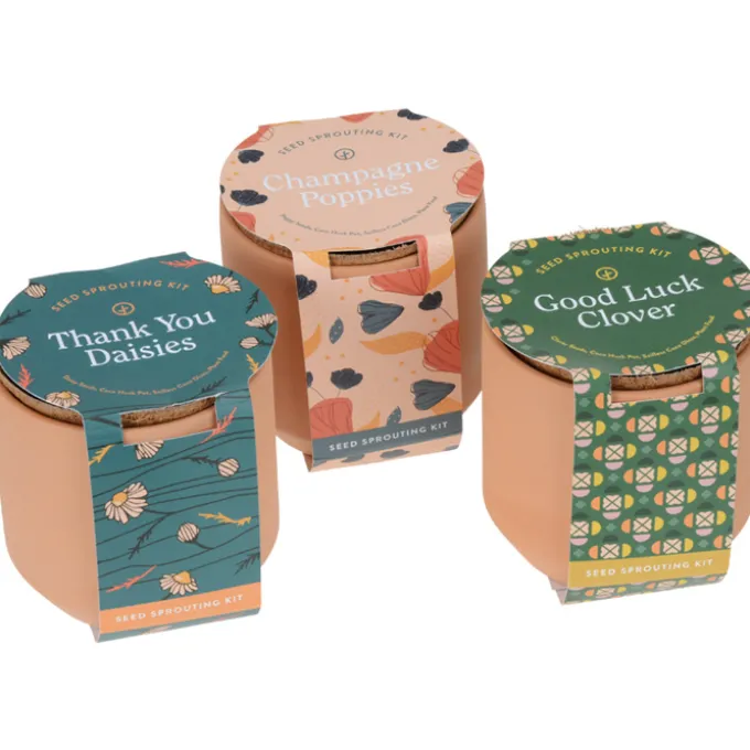 Modern Sprout Tiny Terra Cotta Grow Kit