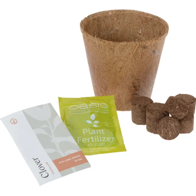 Modern Sprout Tiny Terra Cotta Grow Kit