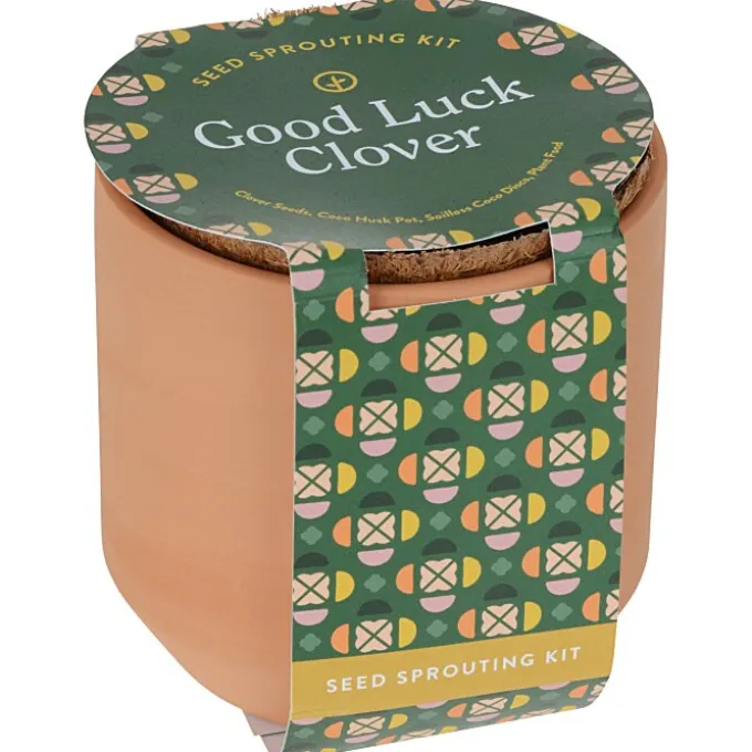 Modern Sprout Tiny Terra Cotta Grow Kit