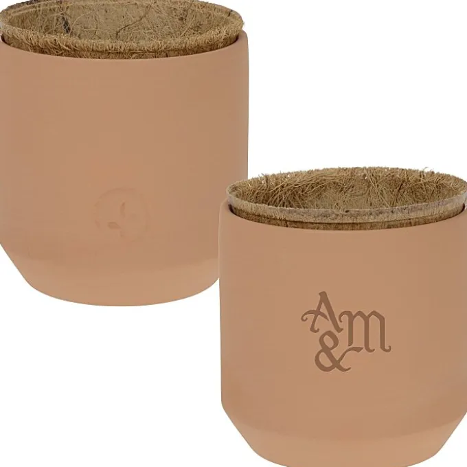 Modern Sprout Tiny Terra Cotta Grow Kit