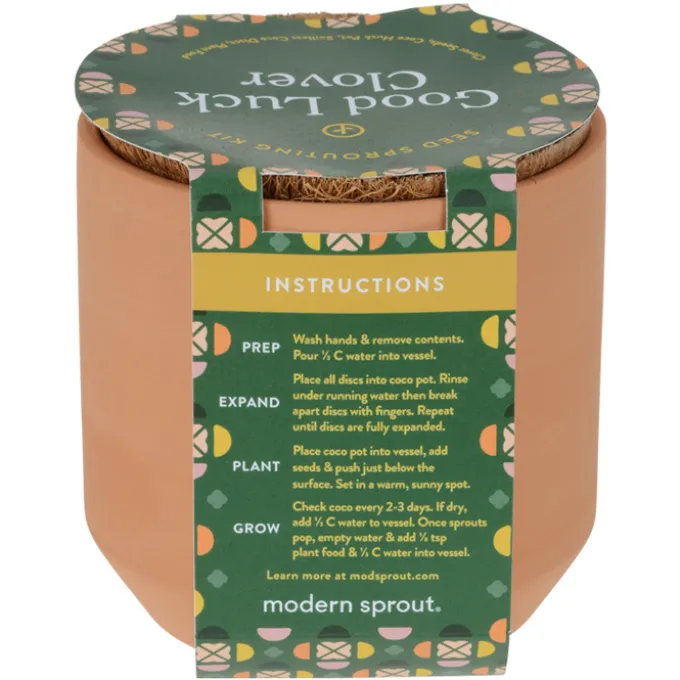 Modern Sprout Tiny Terra Cotta Grow Kit