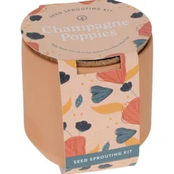 Modern Sprout Tiny Terra Cotta Grow Kit