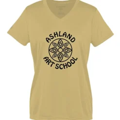 Momentum Solid V-Neck T-Shirt - Ladies' - Screen