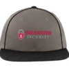 Momentum Team Cap