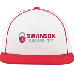 Momentum Team Cap