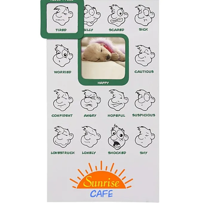 Mood Frame Magnet
